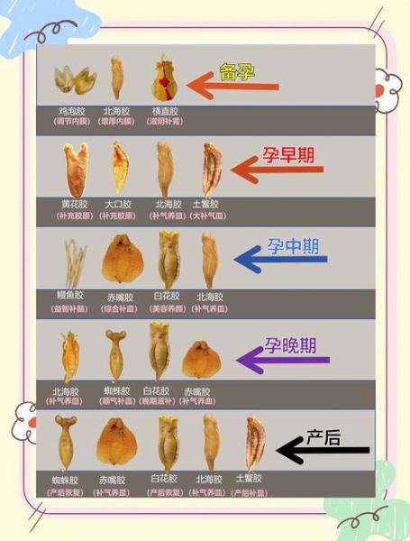 鱼胶孕妇可以吃吗_怀孕吃鱼胶的禁忌-第3张图片-星辰妙记 鱼胶孕妇可以吃吗_怀孕吃鱼胶的禁忌-第3张图片-星辰妙记