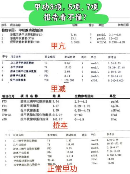 孕妇甲状腺检查几周做_甲功异常对胎儿影响-第1张图片-星辰妙记 孕妇甲状腺检查几周做_甲功异常对胎儿影响-第1张图片-星辰妙记