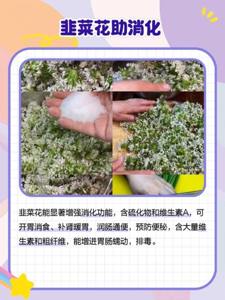 孕妇可以吃韭菜花吗_韭菜花对孕妇安全吗-第3张图片-星辰妙记