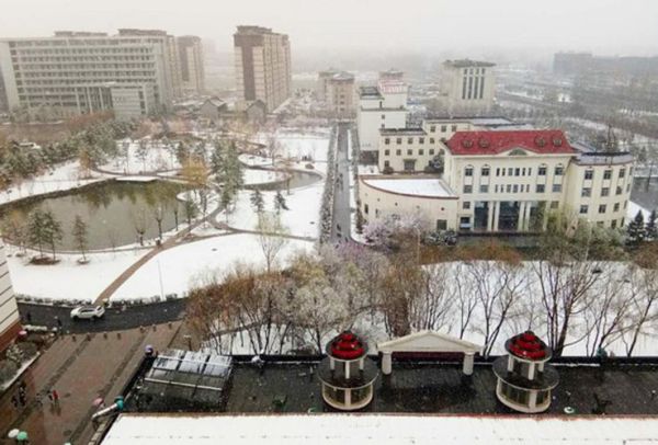 内蒙古师范大学鸿德学院怎么样_就业前景好吗-第2张图片-星辰妙记