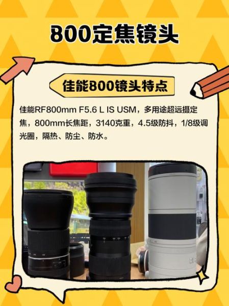 800mm镜头能拍多远_800mm镜头适合拍什么-第2张图片-星辰妙记 800mm镜头能拍多远_800mm镜头适合拍什么-第2张图片-星辰妙记
