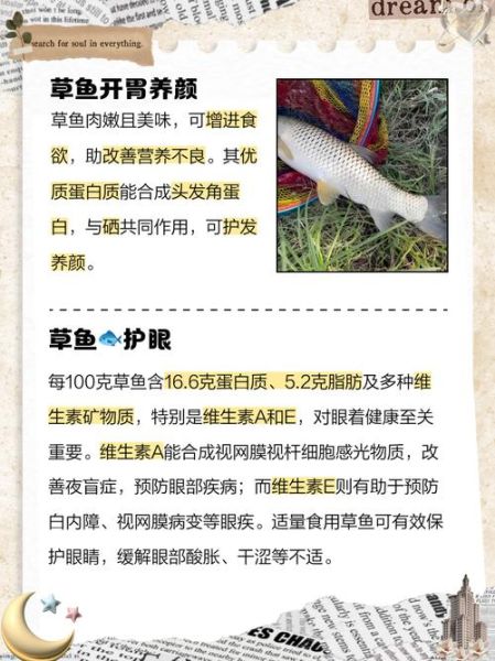 孕妇可以吃草鱼吗_草鱼对胎儿的影响-第3张图片-星辰妙记