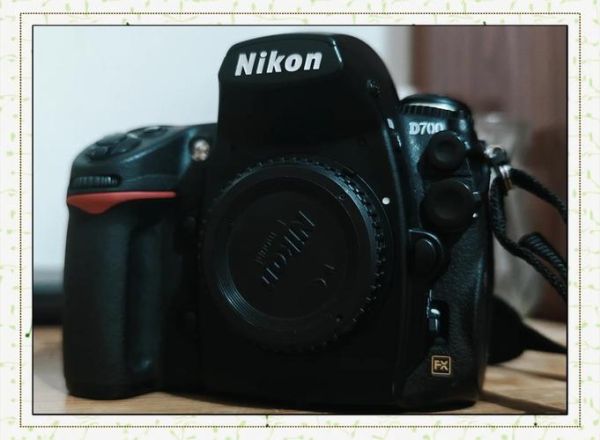 尼康d7000配什么镜头_尼康d7000镜头推荐-第2张图片-星辰妙记