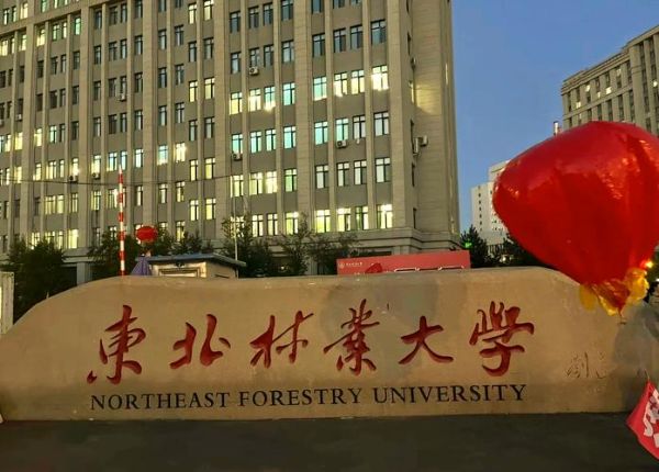 东北林业大学是211吗_东北林业大学211含金量-第1张图片-星辰妙记