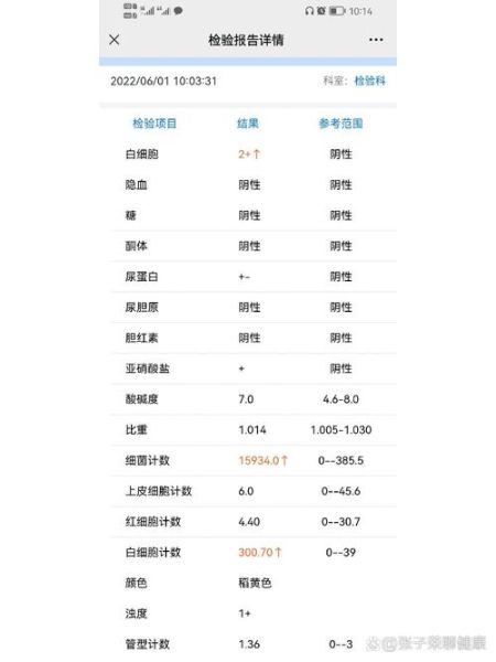 孕妇尿常规细菌高怎么回事_对胎儿有影响吗-第1张图片-星辰妙记