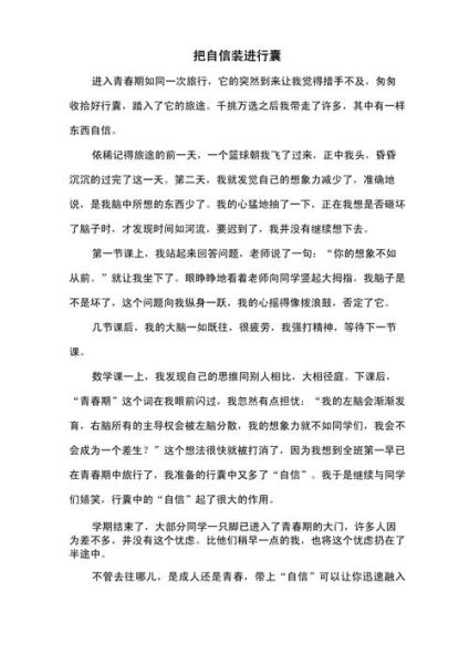 备好的行囊作文怎么写_如何写出高分细节-第3张图片-星辰妙记