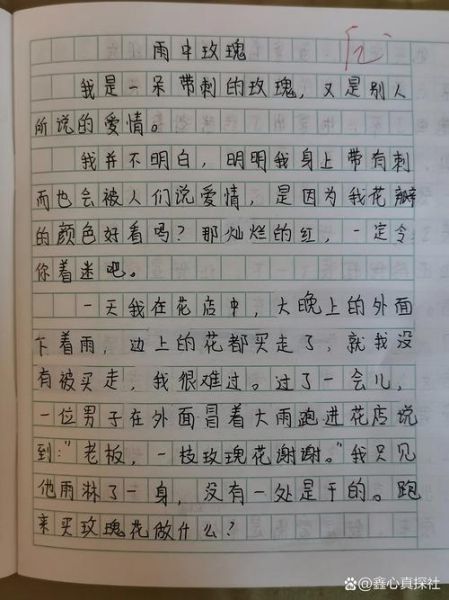 变形计作文怎么写_变形计观后感怎么写-第1张图片-星辰妙记