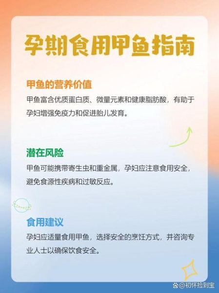 孕妇可以吃甲鱼吗_孕期吃甲鱼安全吗-第3张图片-星辰妙记