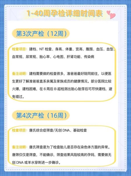 孕妇体检时间表_孕妇体检项目有哪些-第2张图片-星辰妙记