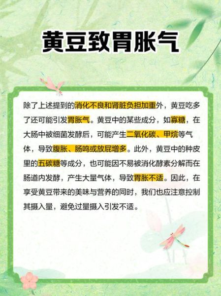 孕妇可以吃黄豆吗_黄豆对胎儿的影响-第1张图片-星辰妙记 孕妇可以吃黄豆吗_黄豆对胎儿的影响-第1张图片-星辰妙记