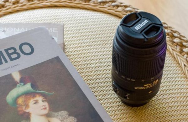 55-300镜头适合拍什么_新手如何用好55-300-第1张图片-星辰妙记