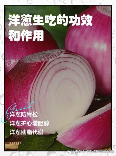 孕妇可以吃洋葱吗_孕期吃洋葱的好处与禁忌-第1张图片-星辰妙记 孕妇可以吃洋葱吗_孕期吃洋葱的好处与禁忌-第1张图片-星辰妙记