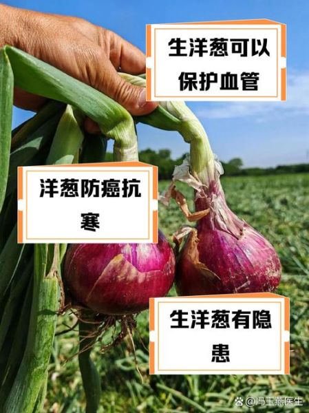 孕妇可以吃洋葱吗_孕期吃洋葱的好处与禁忌-第3张图片-星辰妙记 孕妇可以吃洋葱吗_孕期吃洋葱的好处与禁忌-第3张图片-星辰妙记