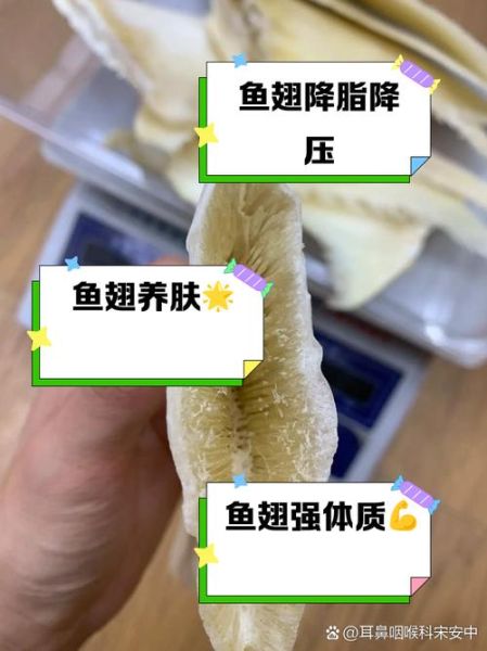 孕妇能吃鱼翅吗_鱼翅对孕妇的好处与风险-第1张图片-星辰妙记