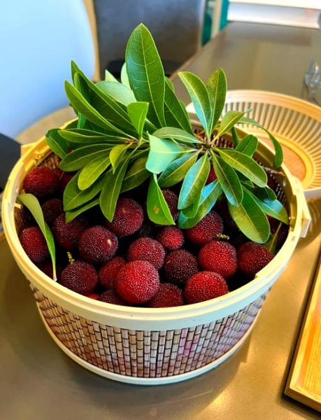 孕妇可以吃冰糖杨梅吗_冰糖杨梅对孕妇安全吗-第3张图片-星辰妙记 孕妇可以吃冰糖杨梅吗_冰糖杨梅对孕妇安全吗-第3张图片-星辰妙记