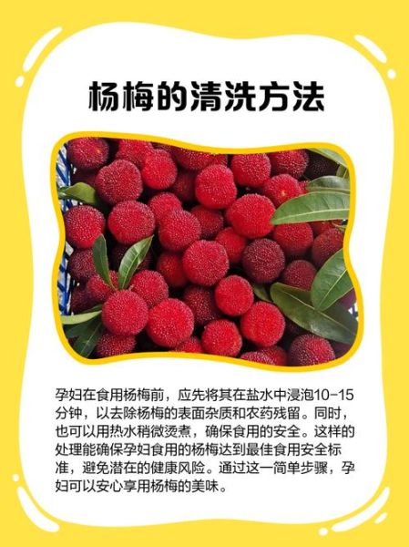 孕妇可以吃冰糖杨梅吗_冰糖杨梅对孕妇安全吗-第2张图片-星辰妙记 孕妇可以吃冰糖杨梅吗_冰糖杨梅对孕妇安全吗-第2张图片-星辰妙记