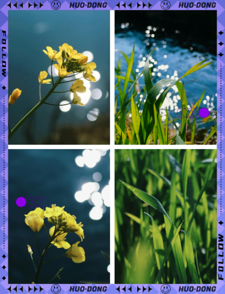 佳能1855镜头适合拍什么_新手入门拍什么题材-第1张图片-星辰妙记