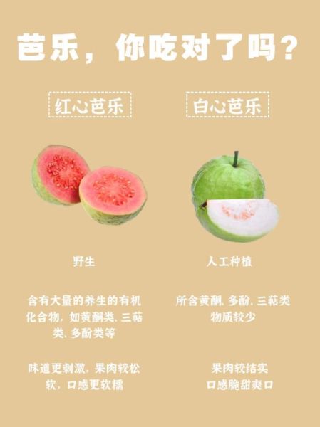 孕妇可以吃芭乐吗_芭乐对孕妇有什么好处-第1张图片-星辰妙记