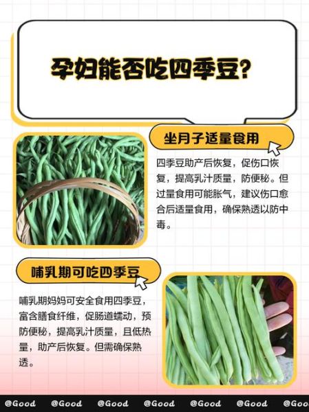 孕妇能吃四季豆吗_四季豆对胎儿有影响吗-第1张图片-星辰妙记 孕妇能吃四季豆吗_四季豆对胎儿有影响吗-第1张图片-星辰妙记