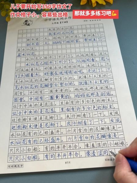 作文350字怎么写_如何快速构思-第1张图片-星辰妙记