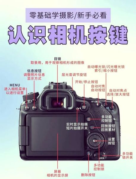 单反镜头按钮有什么用_单反镜头按钮怎么调-第1张图片-星辰妙记