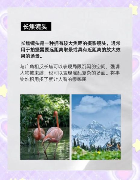 电影镜头有哪些类型_如何运用镜头语言讲好故事-第3张图片-星辰妙记 电影镜头有哪些类型_如何运用镜头语言讲好故事-第3张图片-星辰妙记