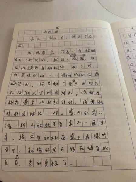 一日游作文400字怎么写_一日游作文400字范文-第1张图片-星辰妙记