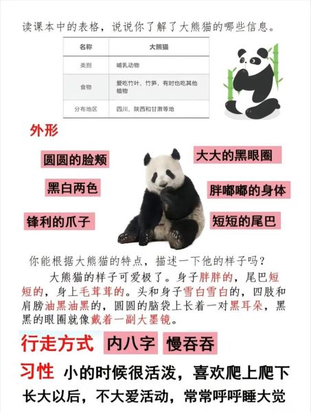 熊猫为什么被称为国宝_熊猫的生活习性有哪些-第2张图片-星辰妙记