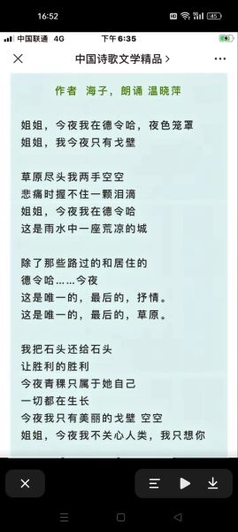 海子为什么自杀_海子诗歌意象解析-第2张图片-星辰妙记