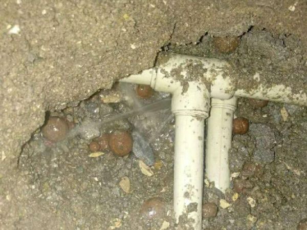 孕妇梦见漏水是什么意思_孕妇梦见漏水是生男生女-第2张图片-星辰妙记