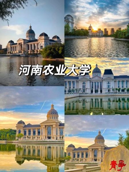 河南省农业大学怎么样_河南省农业大学专业排名-第1张图片-星辰妙记 河南省农业大学怎么样_河南省农业大学专业排名-第1张图片-星辰妙记