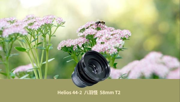 八羽怪镜头是什么_八羽怪镜头值得买吗-第2张图片-星辰妙记 八羽怪镜头是什么_八羽怪镜头值得买吗-第2张图片-星辰妙记