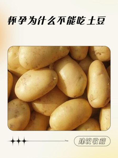 孕妇能吃土豆吗_怀孕吃土豆注意事项-第1张图片-星辰妙记