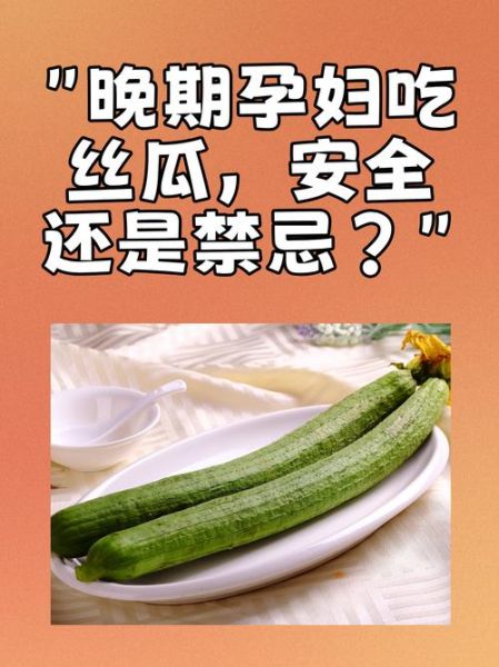 孕妇晚期可以吃丝瓜吗_丝瓜对胎儿好吗-第1张图片-星辰妙记