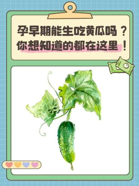 孕妇可以吃青瓜吗_孕期吃青瓜的注意事项-第1张图片-星辰妙记
