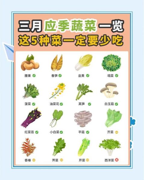 孕妇初期吃什么蔬菜好_孕早期饮食推荐-第3张图片-星辰妙记