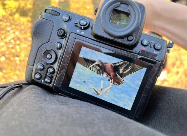 xzp镜头怎么样_xzp镜头适合拍什么-第1张图片-星辰妙记