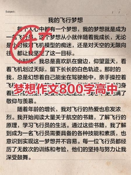 梦想作文怎么写_高中800字范文-第1张图片-星辰妙记