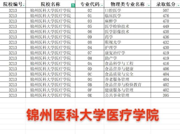 锦州医科大学是几本_录取分数线是多少-第1张图片-星辰妙记 锦州医科大学是几本_录取分数线是多少-第1张图片-星辰妙记