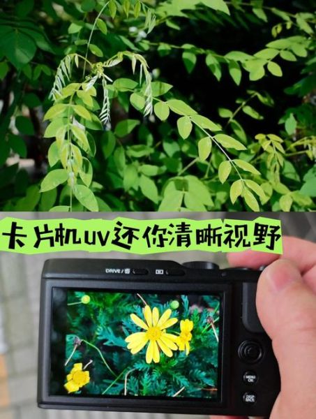 单反镜头怎么保护_镜头保护UV镜有必要吗-第1张图片-星辰妙记