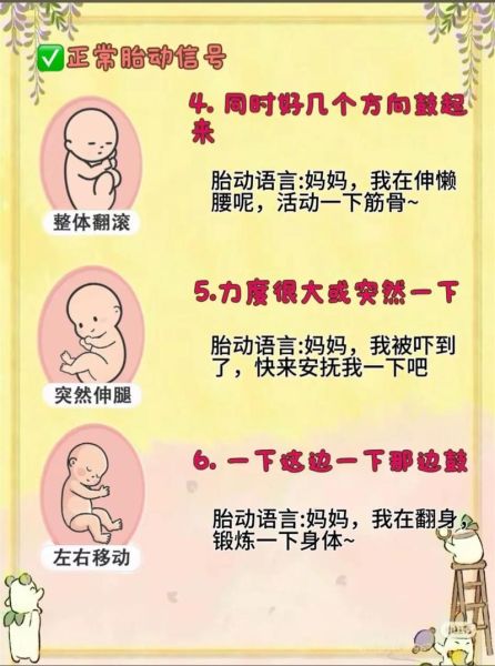 孕妇胎动视频怎么看_胎动频繁正常吗-第3张图片-星辰妙记 孕妇胎动视频怎么看_胎动频繁正常吗-第3张图片-星辰妙记