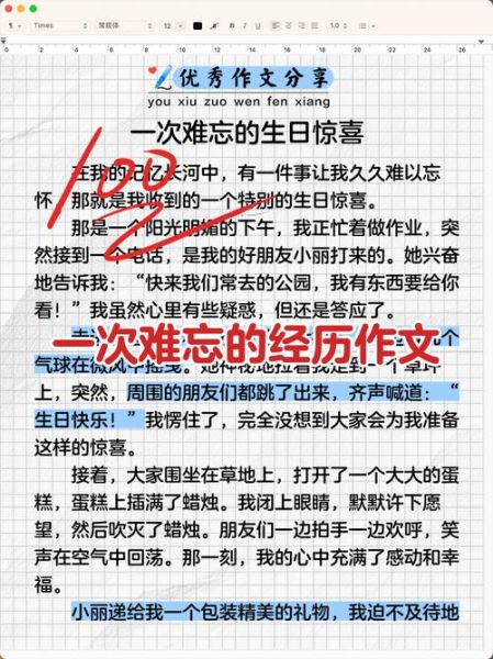 一次难忘的经历_如何写出感人作文-第2张图片-星辰妙记