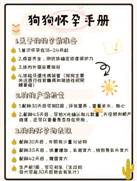 孕妇可以养狗吗_孕期养狗注意事项-第1张图片-星辰妙记