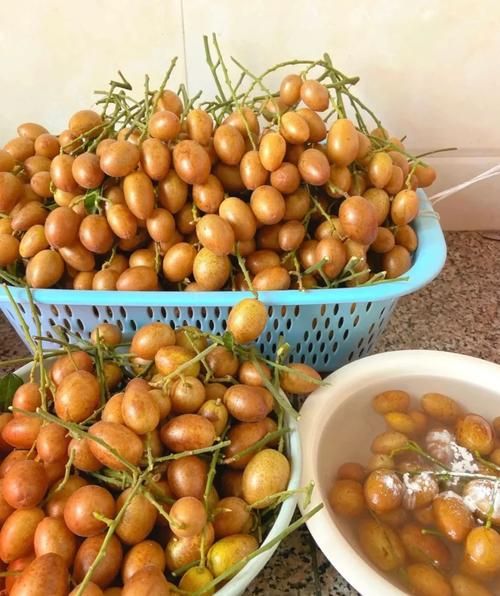 孕妇可以吃黄皮果吗_黄皮果对胎儿有影响吗-第1张图片-星辰妙记