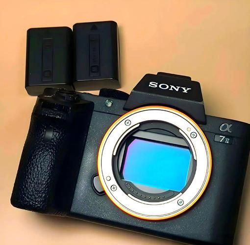 索尼a7m2镜头怎么选_索尼a7m2镜头推荐-第3张图片-星辰妙记 索尼a7m2镜头怎么选_索尼a7m2镜头推荐-第3张图片-星辰妙记