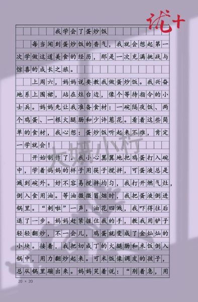 作文我学会了什么怎么写_如何写我学会了什么作文-第2张图片-星辰妙记