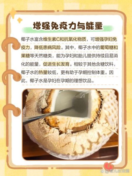 孕妇能喝椰子水吗_孕妇喝椰子水的好处与禁忌-第3张图片-星辰妙记