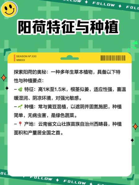 孕妇能吃阳荷吗_阳荷对孕妇有什么好处-第3张图片-星辰妙记 孕妇能吃阳荷吗_阳荷对孕妇有什么好处-第3张图片-星辰妙记