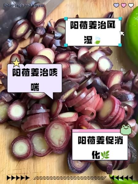 孕妇能吃阳荷吗_阳荷对孕妇有什么好处-第2张图片-星辰妙记 孕妇能吃阳荷吗_阳荷对孕妇有什么好处-第2张图片-星辰妙记