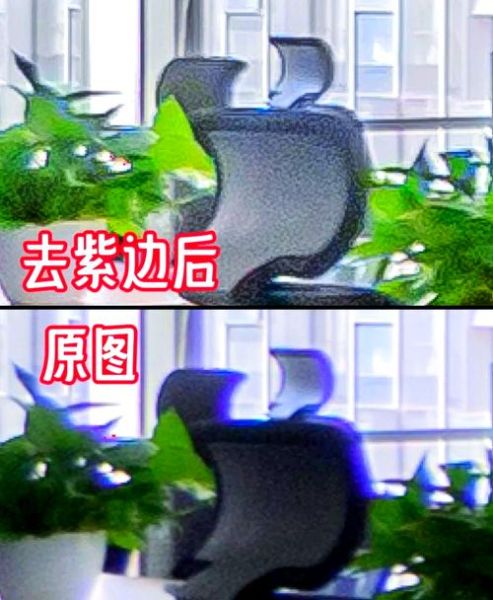 镜头紫边严重怎么办_后期如何消除紫边-第1张图片-星辰妙记